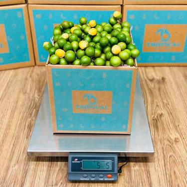 Spanish Limes | Mamoncillos | Quenepas | Guineps Box GoogleON Tropical Fruit Box